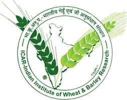 ICAR-Indian Institute of Wheat and Barley Research, Karnal